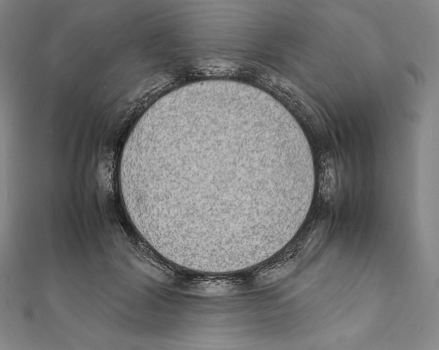 X0000112040604200908311237