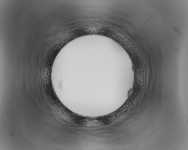 X0000112040605200908311237