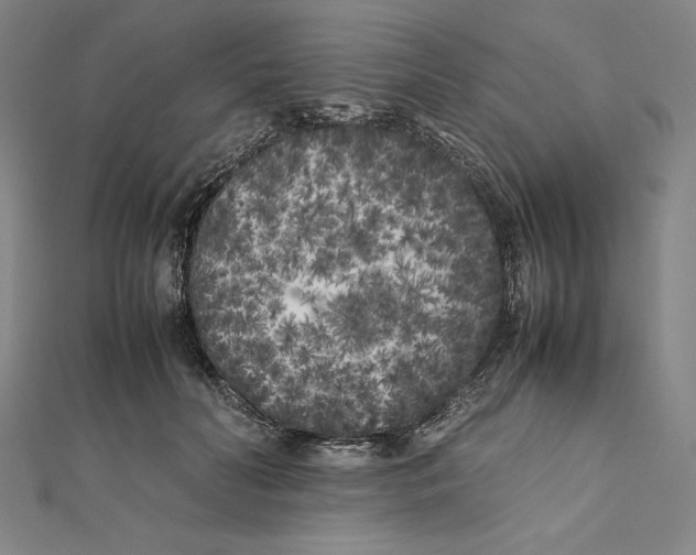 X0000112040606200908311237