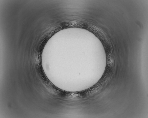 X0000112040607200908311237