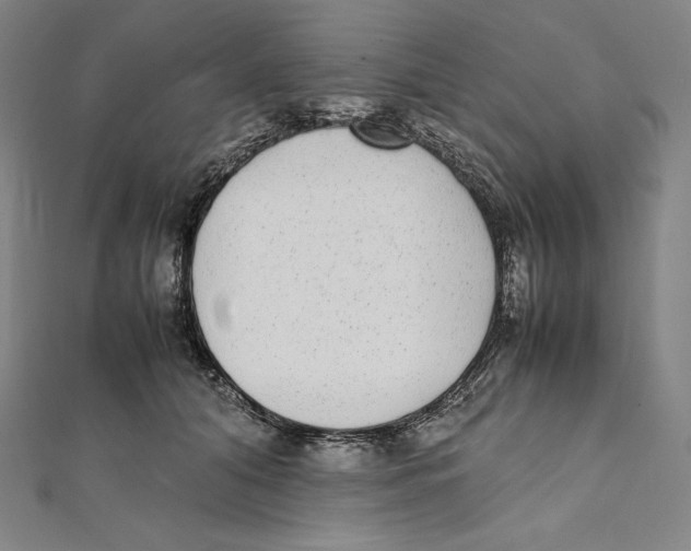 X0000112040608200908311237