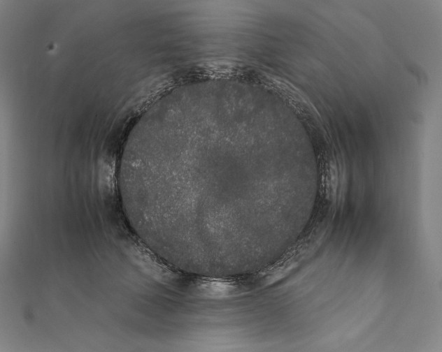 X0000112040610200908311237