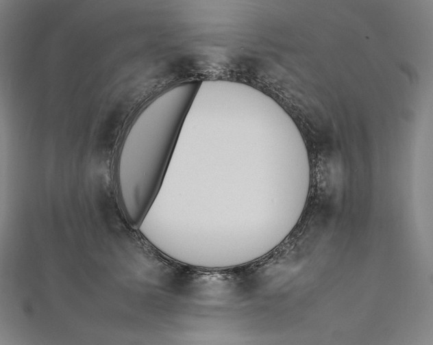 X0000112040611200908311237