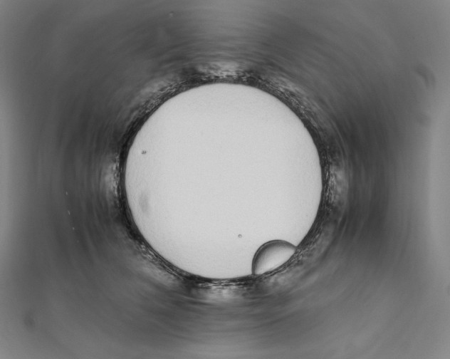 X0000112040612200908311237