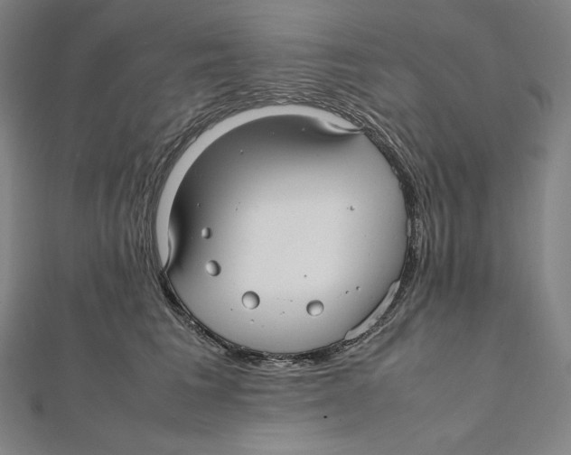 X0000112040613200908311237