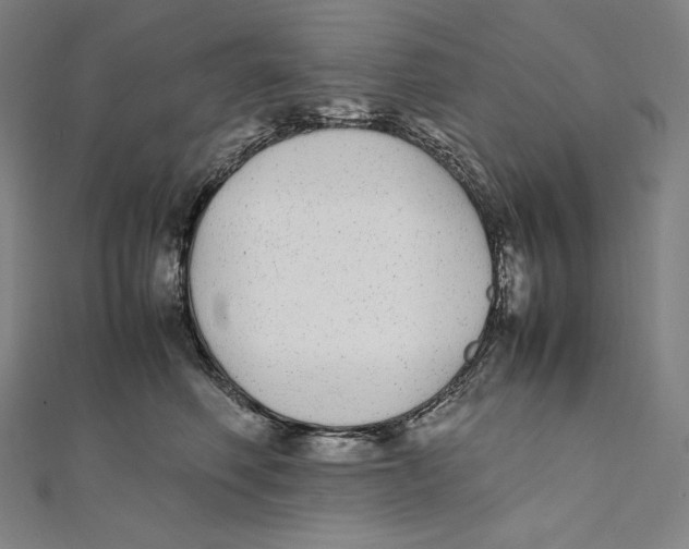 X0000112040614200908311237