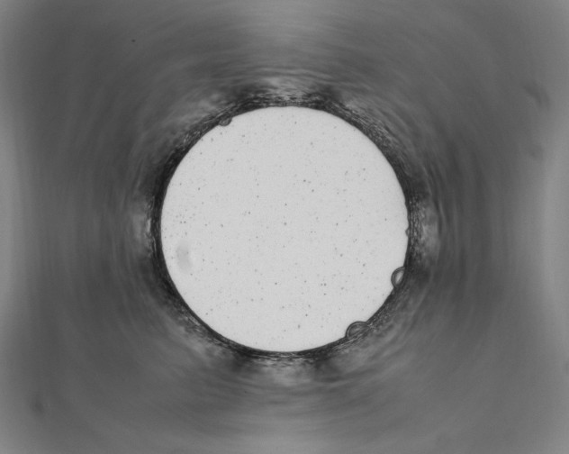 X0000112040615200908311237