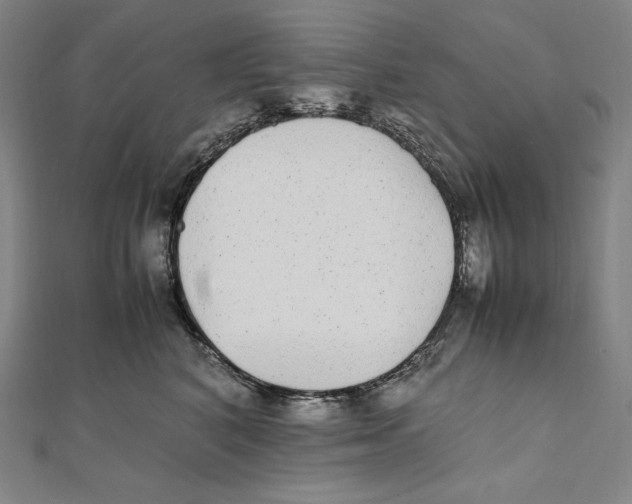 X0000112040616200908311237