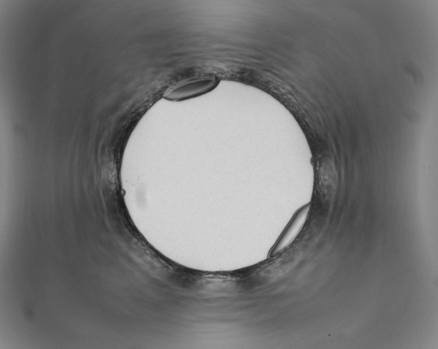 X0000112040617200908311237