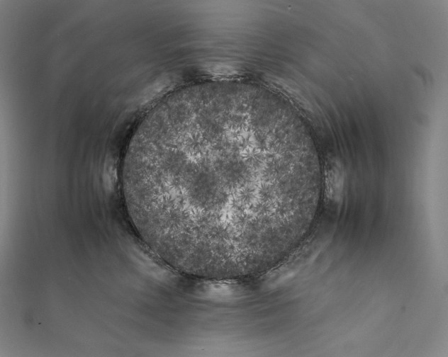 X0000112040618200908311237