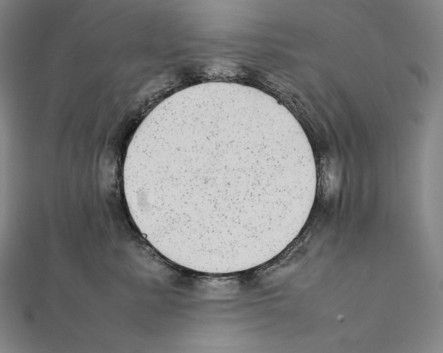 X0000112040619200908311237