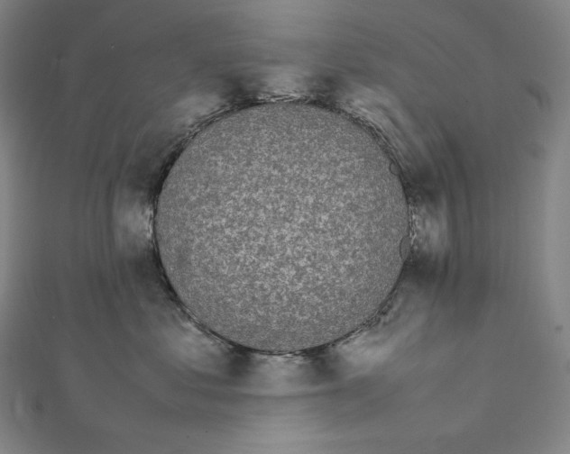 X0000112040621200908311237