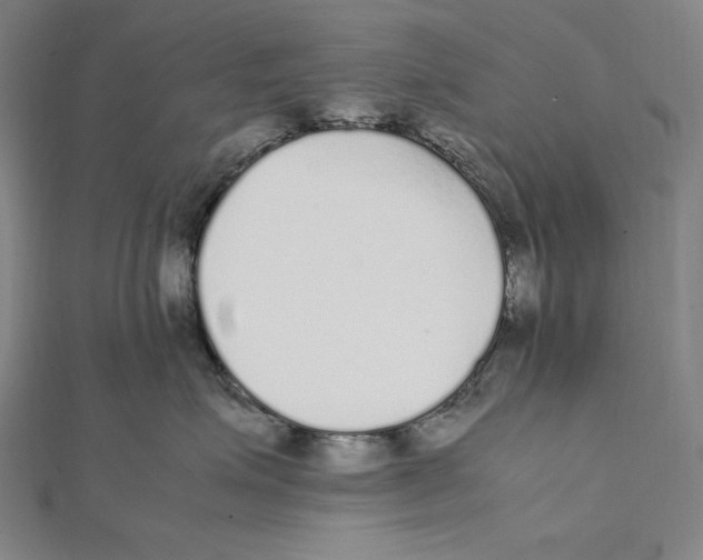X0000112040623200908311237