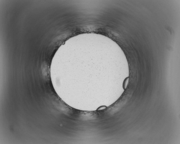 X0000112040624200908311237