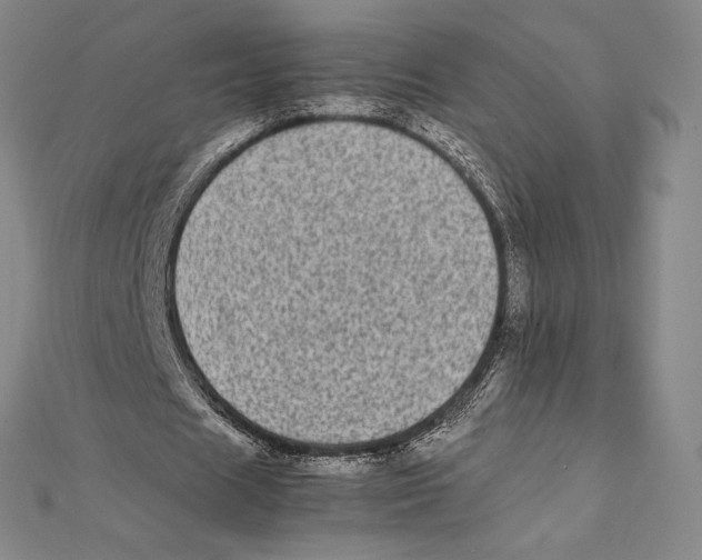 X0000112040625200908311236