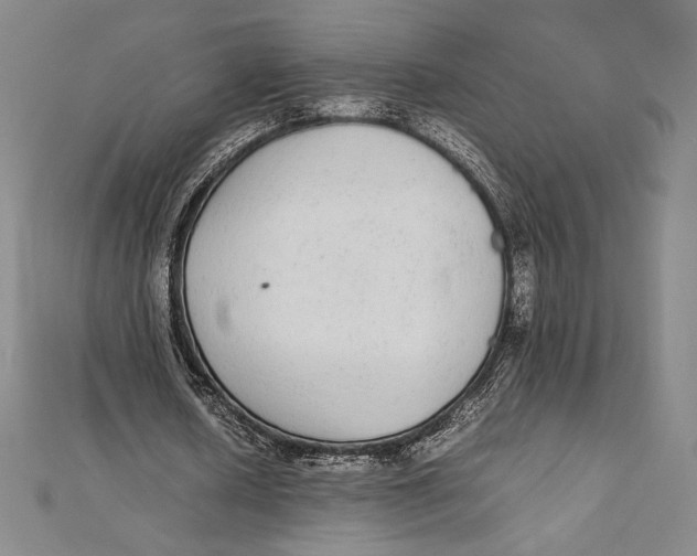 X0000112040626200908311236