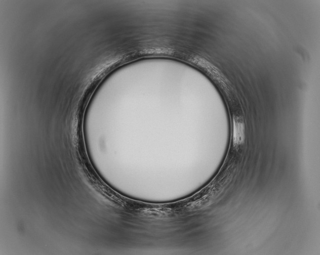 X0000112040627200908311236