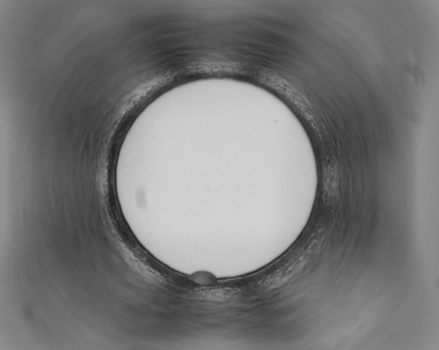 X0000112040629200908311236