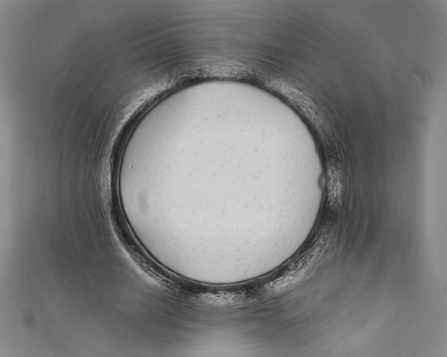 X0000112040630200908311236