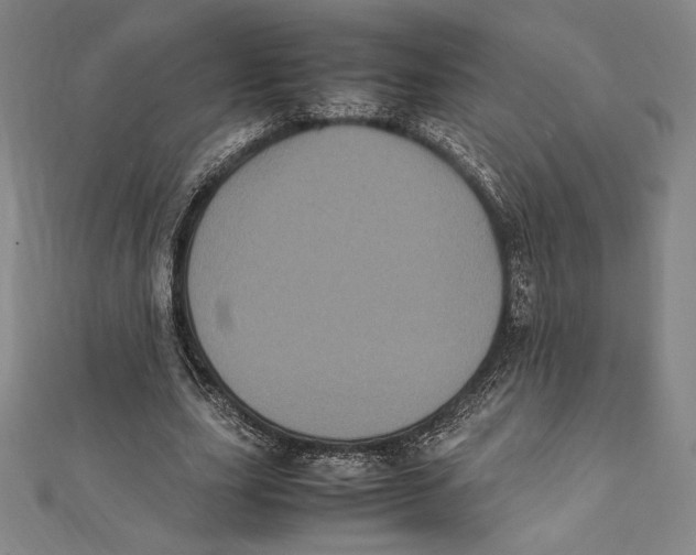X0000112040631200908311236