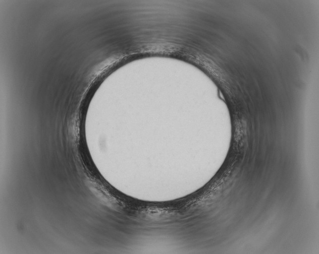X0000112040632200908311236