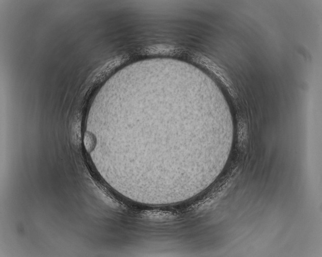 X0000112040633200908311236