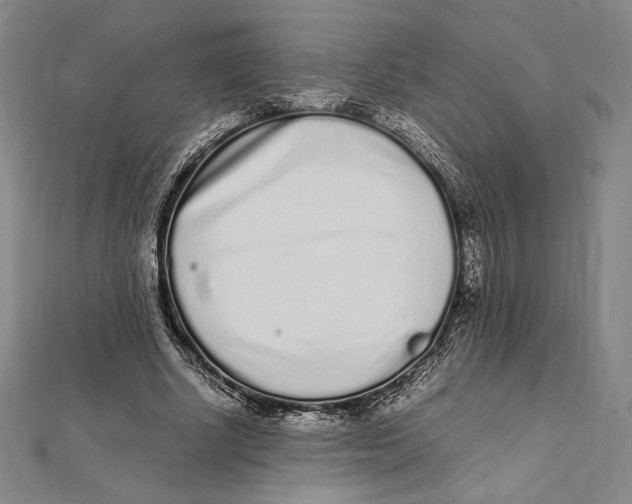 X0000112040634200908311236