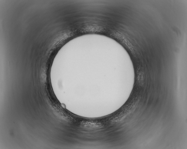X0000112040635200908311236
