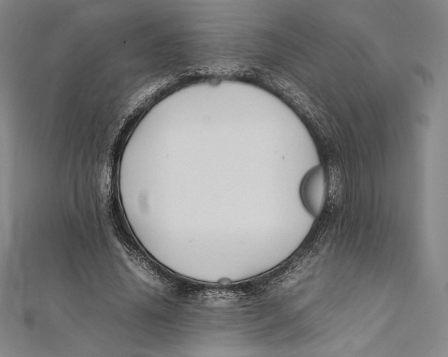X0000112040636200908311236