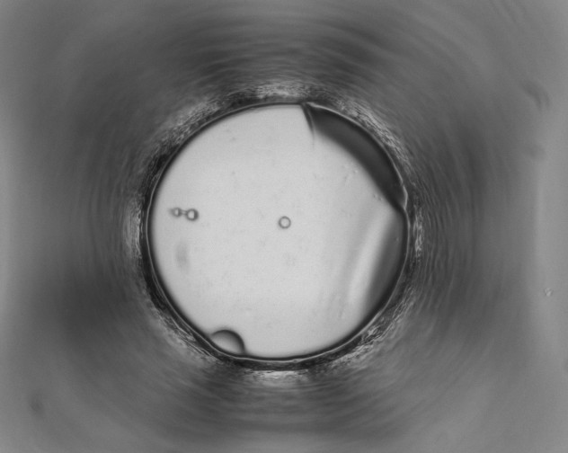 X0000112040637200908311236