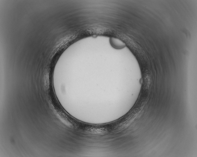 X0000112040638200908311236