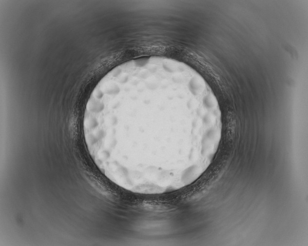 X0000112040641200908311237