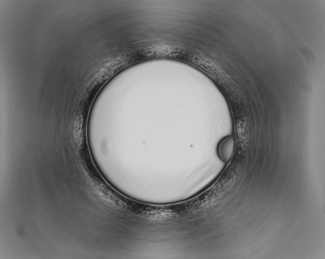 X0000112040642200908311237
