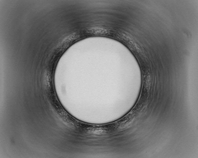 X0000112040643200908311237