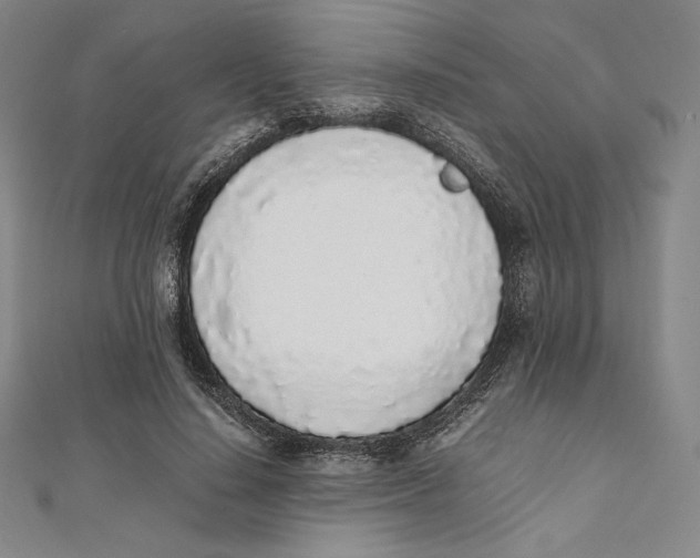 X0000112040644200908311237