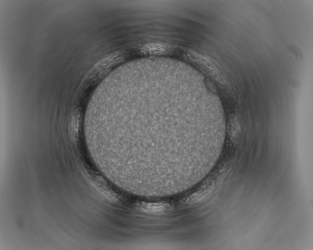 X0000112040645200908311237