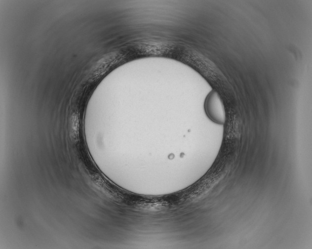 X0000112040646200908311237