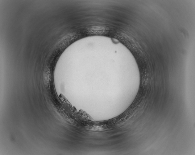 X0000112040647200908311237