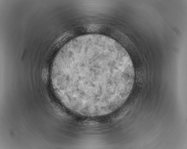 X0000112040648200908311237