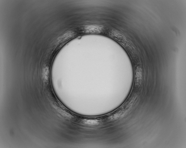 X0000112040649200908311237