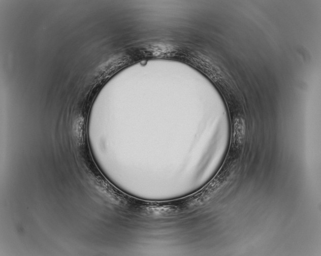 X0000112040650200908311237