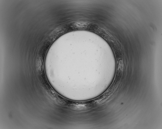 X0000112040651200908311237