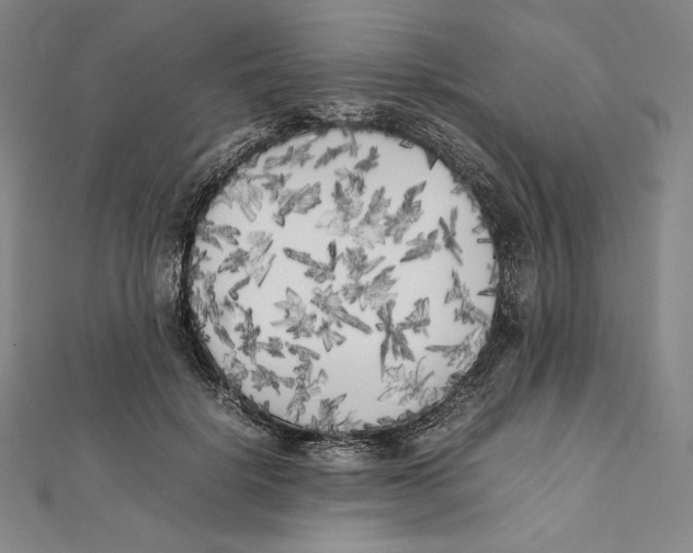 X0000112040652200908311237