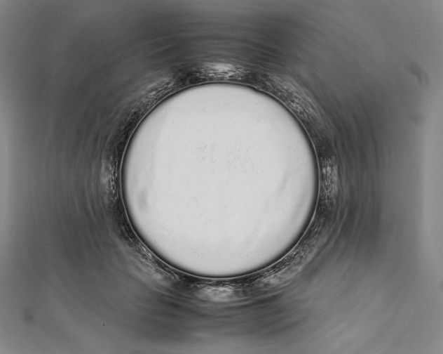 X0000112040653200908311237