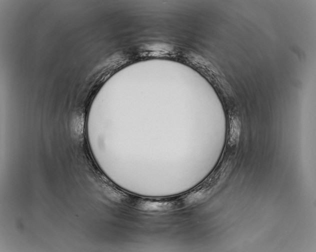 X0000112040657200908311237