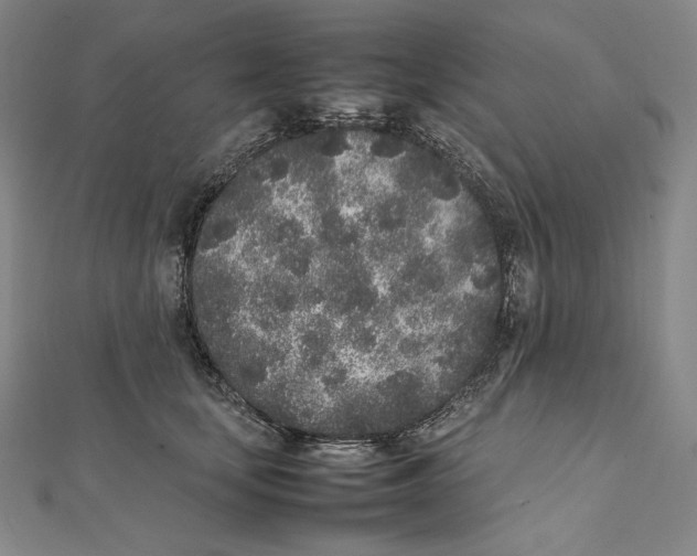 X0000112040659200908311237