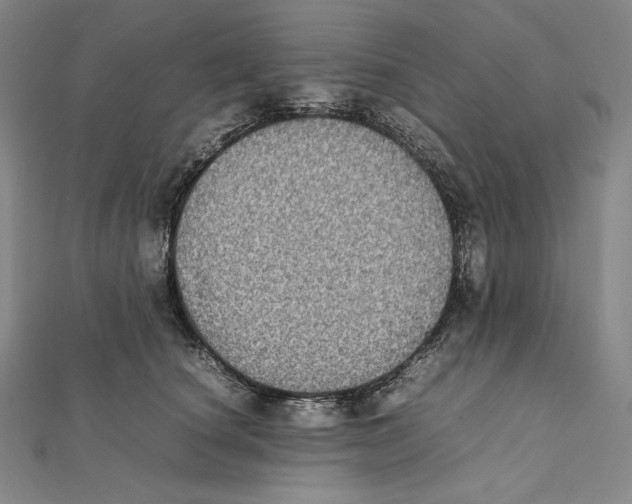 X0000112040660200908311237