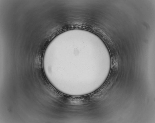 X0000112040661200908311237