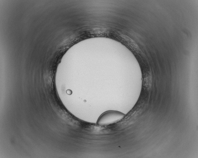 X0000112040662200908311237
