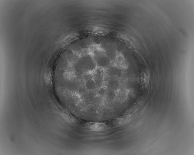 X0000112040663200908311237